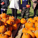 a group of people standing in front of a pile of pumpkins for halloween