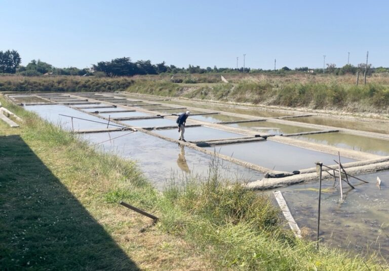marais salants