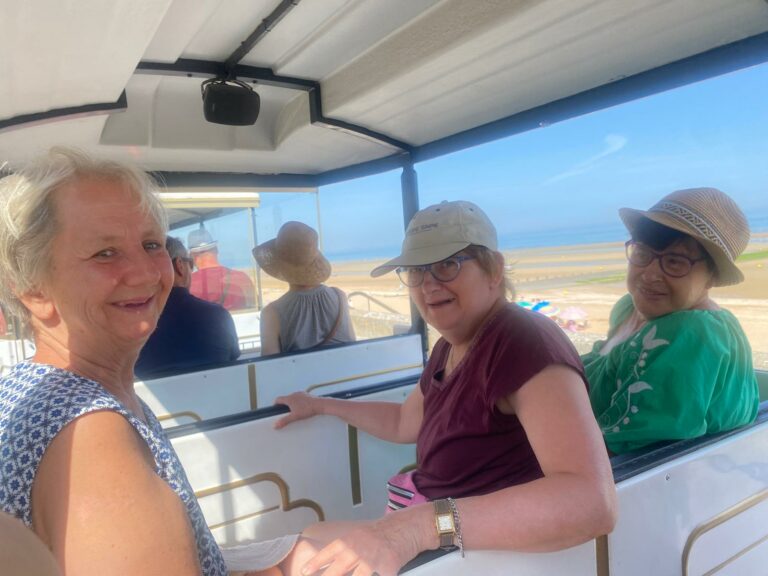 personnes qui se baladent en petit train