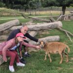 photo d' animaux de ferme