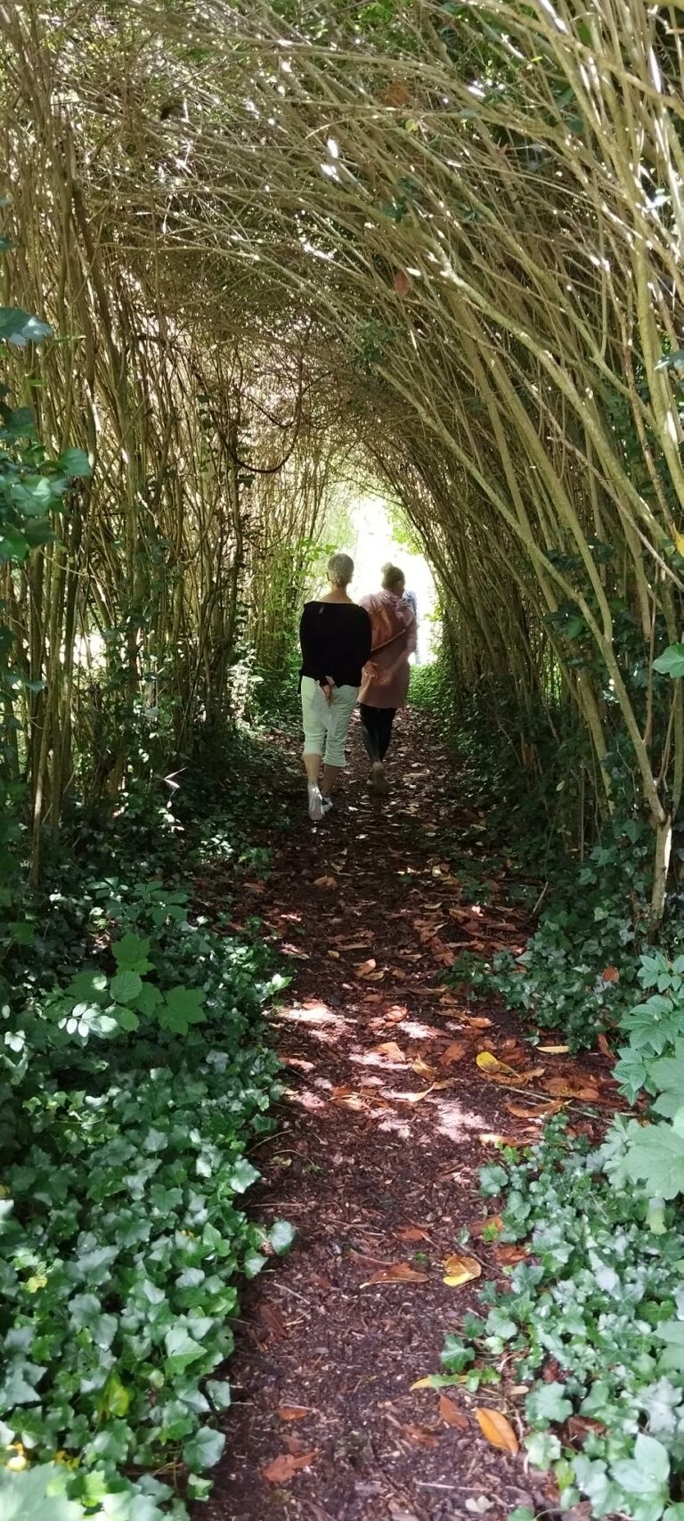 photo duo dans la roseraie