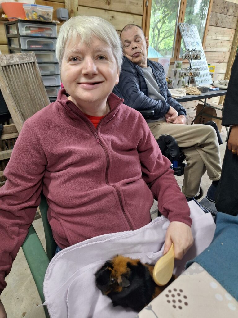 photo de minda brossant un cochon d'Inde