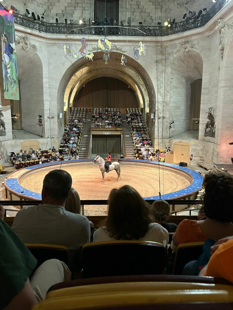 spectacle équestre