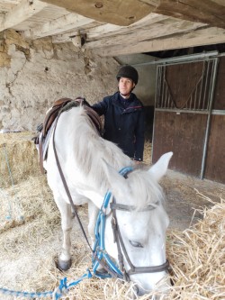 Personne avec un cheval blanc au licol bleu