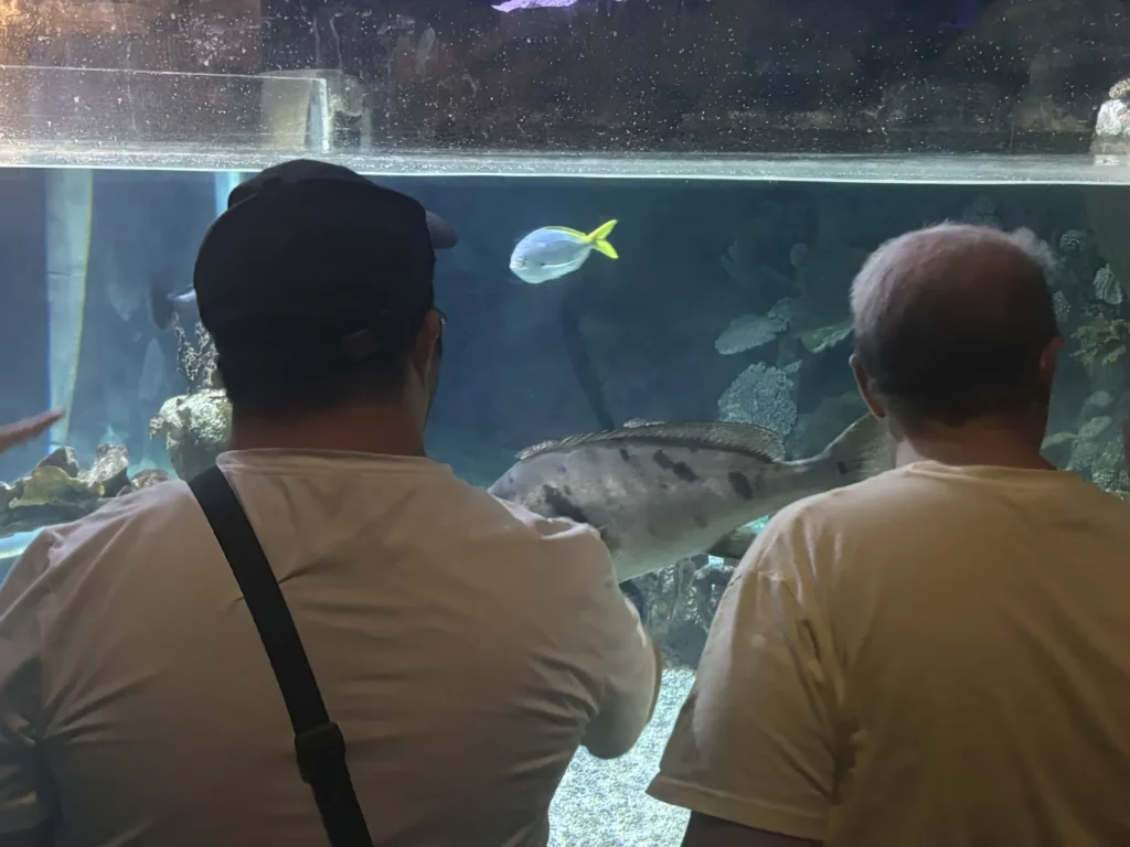 Comme un poisson dans l'eau