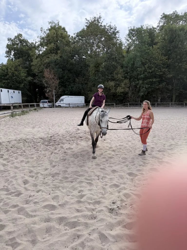 équitation